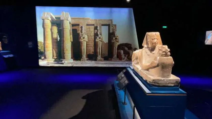 أستاذ آثار: المصريون اهتموا بحقوق الحيوان منذ عصور ما قبل الأسرات
| يلا شوت