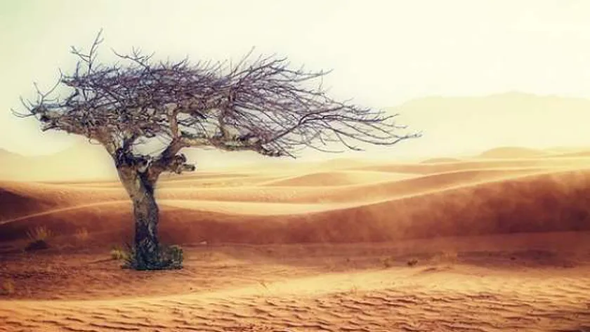 «معلومات الوزراء»: حجم استثمارات المناخ عالميا يصل إلى 330 مليار دولار سنويا
 | يلا شوت