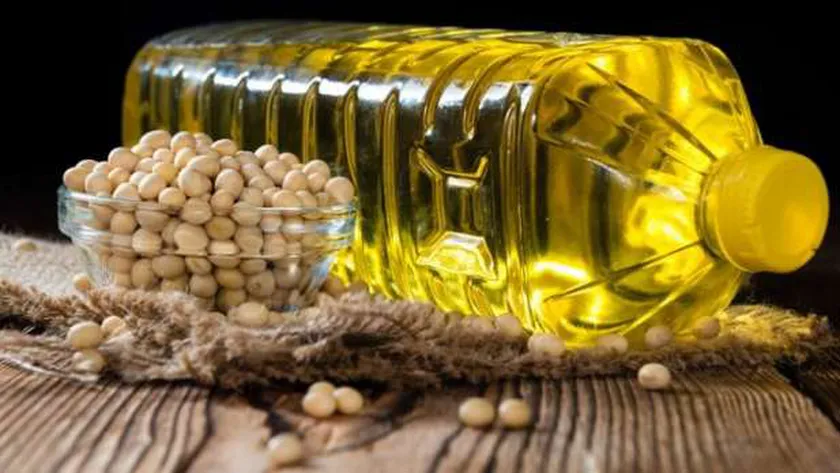 «معلومات الوزراء» يوضح أسباب ارتفاع سعر فول الصويا عالميا في أغسطس 2024
 | يلا شوت