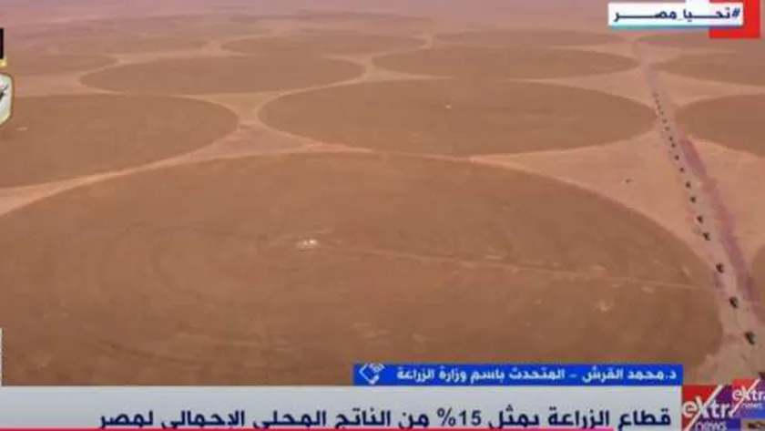 أستاذ اقتصاد: الخريطة الزراعية غير متناسقة مع النمو السكاني السريع في مصر
| يلا شوت