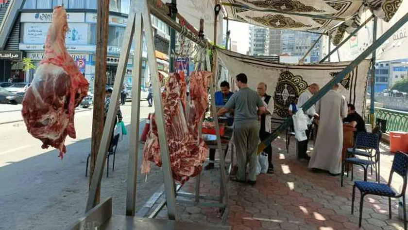 كاتب صحفي: لحوم «حياة كريمة» تخضع لرقابة مستمرة من الجهات البيطرية
| يلا شوت