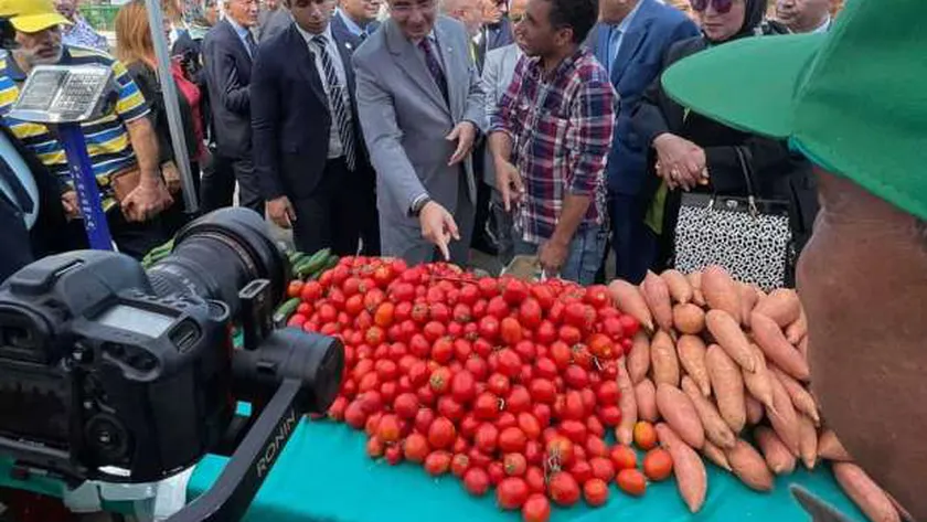 وزير التموين: الحكومة تعمل على توفير جميع أنواع السلع بأسعار مخفضة
| يلا شوت