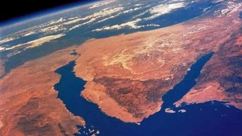 أبناء وشيوخ وعواقل سيناء «في ضهر الوطن».. دعم كامل للدولة بـ«التحرير والتنمية»
| يلا شوت