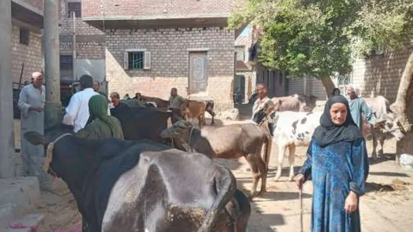 عضو التحالف الوطني ينظم قافلة بيطرية ضمن مبادرة «بداية» بالمنيا
| يلا شوت