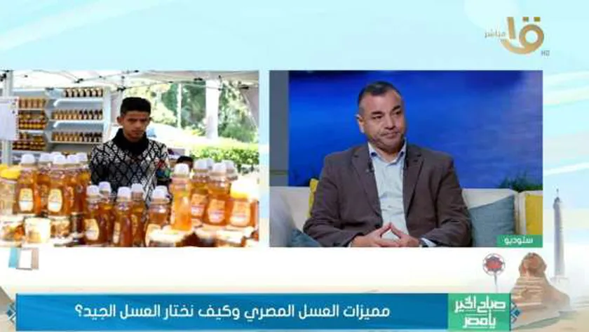 «النحالين العرب»: 30 دولة تشارك في الدورة السابعة لمهرجان العسل المصري
                                     | يلا شوت