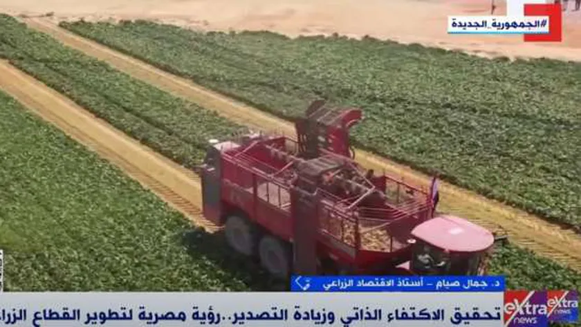 أستاذ اقتصاد: مصر حققت أرقاما غير مسبوقة في الصادرات الزراعية
| يلا شوت