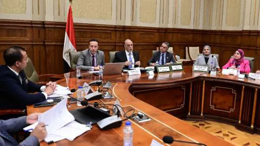 «تضامن النواب» تجدد موافقتها على مشروع قانون الضمان الاجتماعي
| يلا شوت