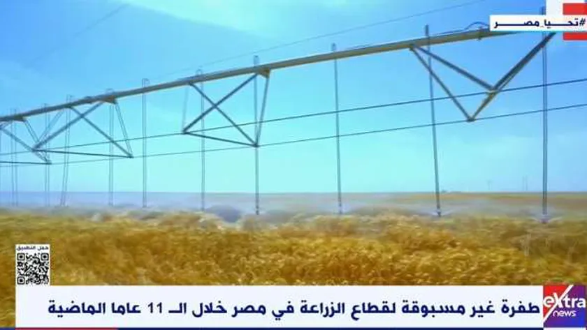 طفرة غير مسبوقة في قطاع الزراعة.. اكتفاء ذاتي وارتفاع معدلات التصدير (فيديو)
| يلا شوت