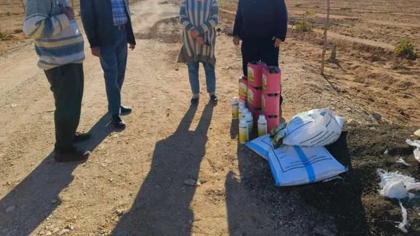 «بحوث الصحراء» ينظم حقول إرشادية باستخدام الأسمدة الحيوية في سيناء
| يلا شوت