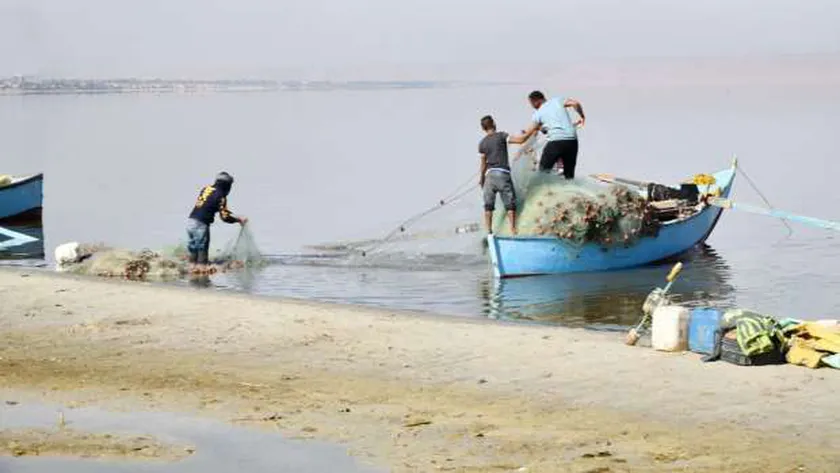 محافظ الفيوم: الدولة بذلت جهودا كبيرة لإنعاش الصيد في بحيرة قارون
| يلا شوت