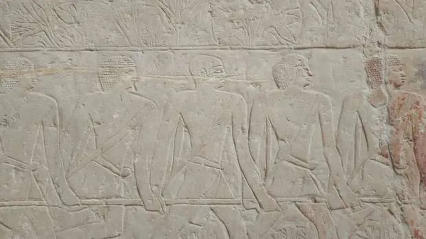 «السياحة»: ترميم جدار مقبرة ميروكا بسقارة عقب تعرضه للخدش من أحد الزوار
| يلا شوت