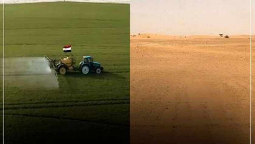 رئيس حزب الريادة: مشروع الدلتا الجديدة يعزز الأمن الغذائي
| يلا شوت