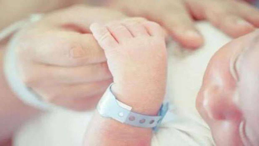 «معلومات الوزراء» يوضح تفاصيل متوسط أعداد مواليد مصر.. كل 16 ثانية طفل
| يلا شوت