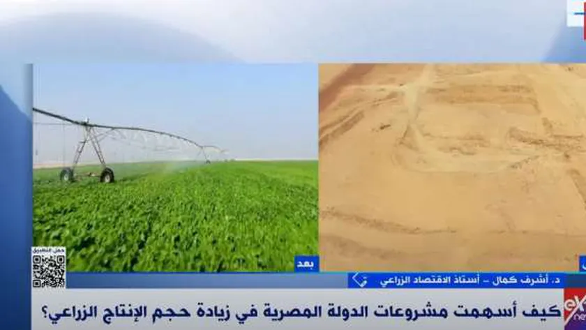 خبير: هناك زيادة غير مسبوقة في حجم الإنتاج بالمشروعات القومية الزراعية
| يلا شوت