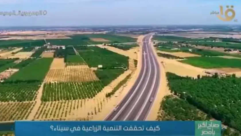 أستاذ زراعة: الدولة تسعى لجعل القطاع الزراعي المحور الأساسي في الصناعات
| يلا شوت
