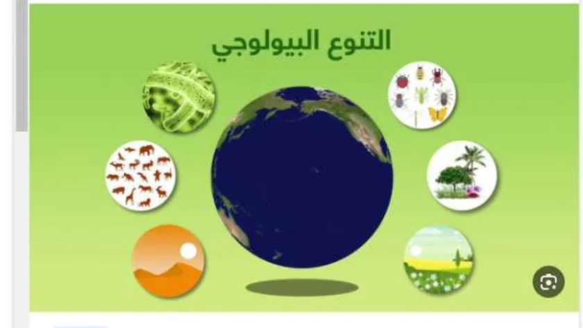 خريطة التنوع البيولوجي بمصر.. 22 ألف نوع من النباتات والحيوانات
| يلا شوت
