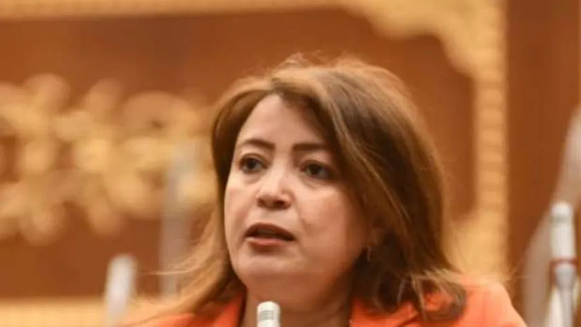 سماء سليمان: تمثيل المرأة في البرلمان تجاوز 28% وبالحكومة 25%
| يلا شوت