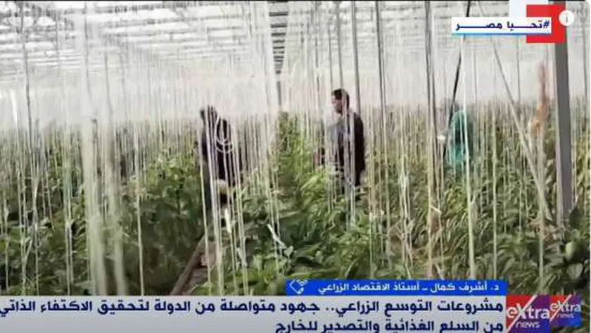 أستاذ اقتصاد: مشروعات الزراعة القومية تساهم في رفع الاكتفاء الذاتي وتحقيق الأمن الغذائي
| يلا شوت