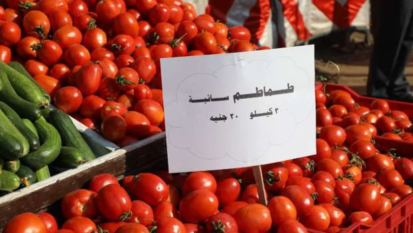 محافظ الجيزة: تجهيز موقع سوق اليوم الواحد في إمبابة لاستقبال المواطنين غدا
| يلا شوت