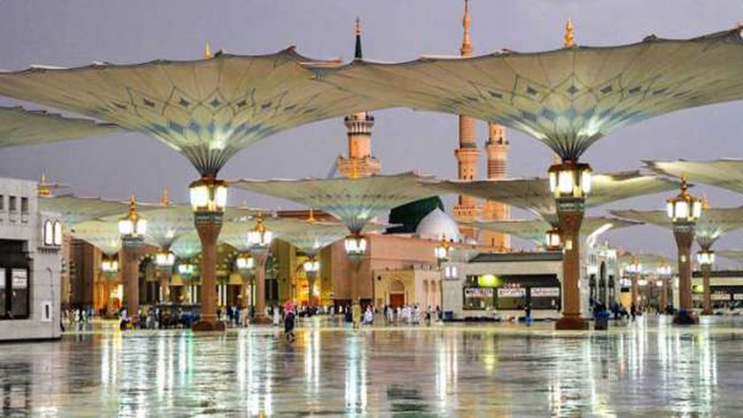 أحفاد الرسول الثمانية.. تعرف على جانب من مواقف النبي معهم
                                     | يلا شوت
