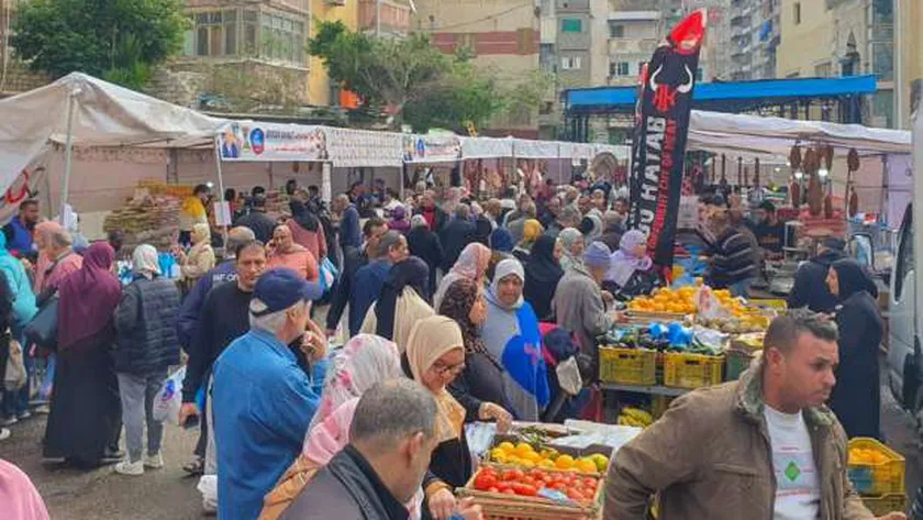 انطلاق سوق اليوم الواحد في الأميرية بأسعار مخفضة
| يلا شوت
