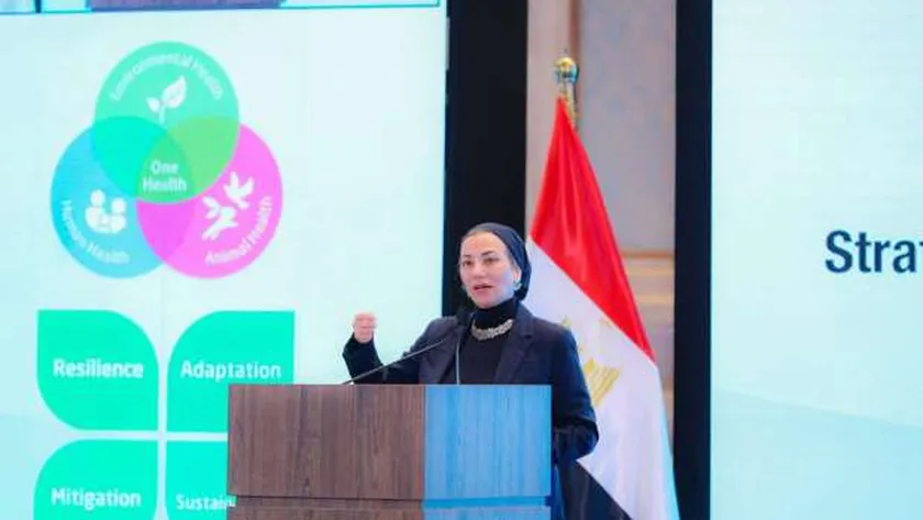 وزيرة البيئة: نعمل على تكامل الإطار الاستراتيجي للتكيف الصحي مع تغير المناخ
| يلا شوت