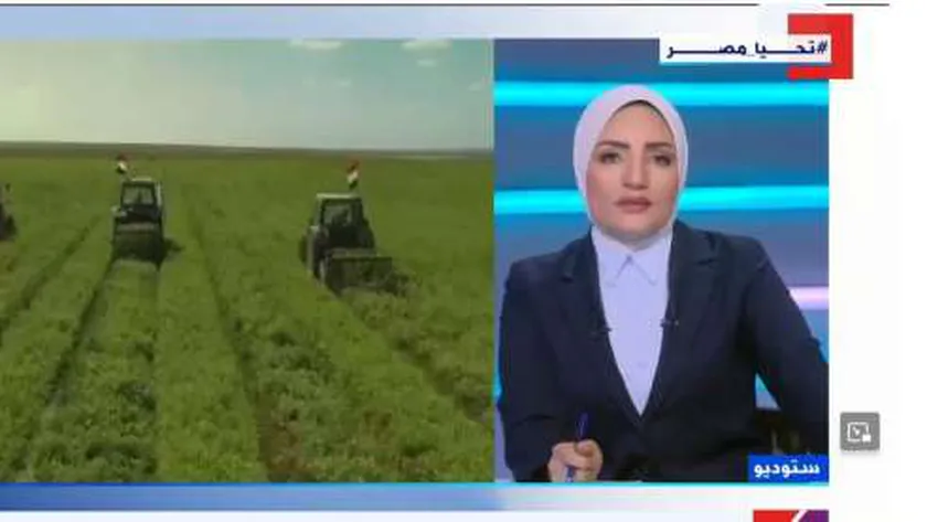 أستاذ زراعة: التوسع في استصلاح الأراضي يعظم الاستفادة من الموارد الطبيعية (فيديو)
| يلا شوت