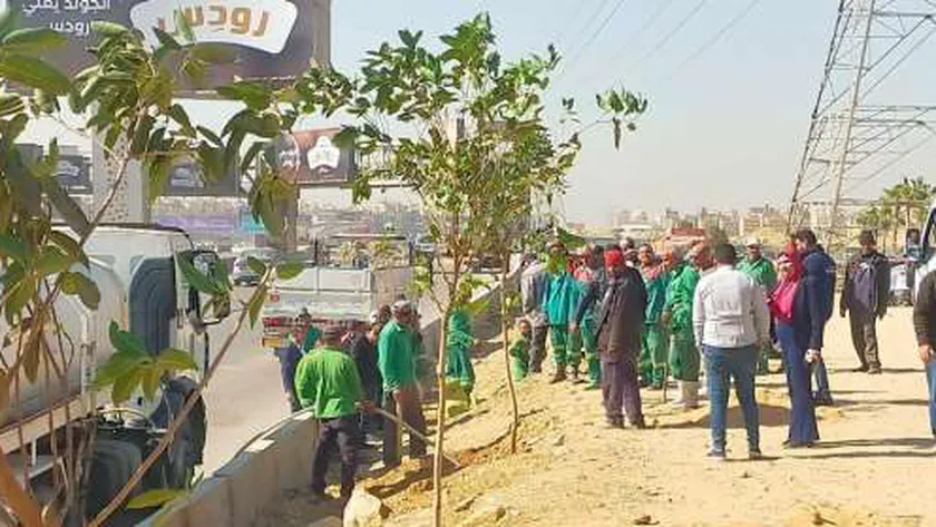التنمية المحلية تكشف خطة زراعة 100 مليون شجرة لتحسين البيئة
| يلا شوت