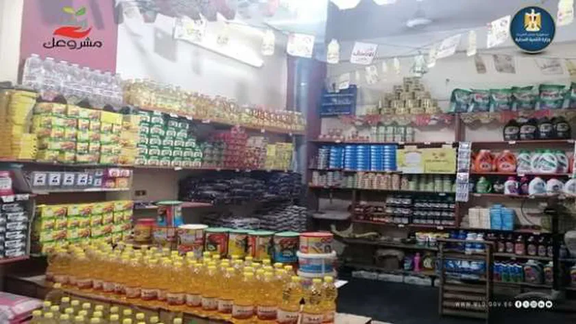 من «التنمية المحلية».. 5 مستندات لتمويل المشروعات الصغيرة والمتناهية الصغر
| يلا شوت