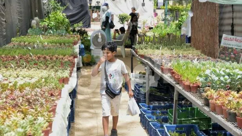 وزير الزراعة يعلن موعد ومكان انطلاق مهرجان زهور الربيع لعام 2025
| يلا شوت