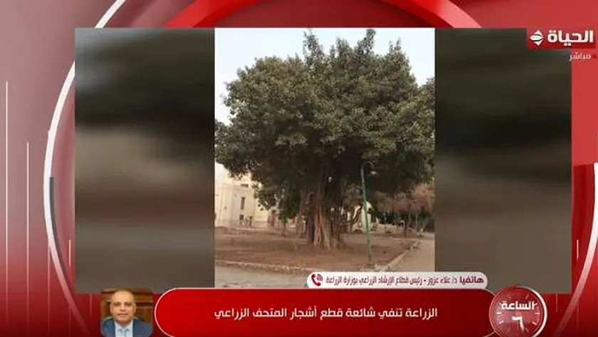«الزراعة»: قطع أشجار المتحف الزراعي مجرد «شائعات».. وهدفنا إعادته للريادة
| يلا شوت