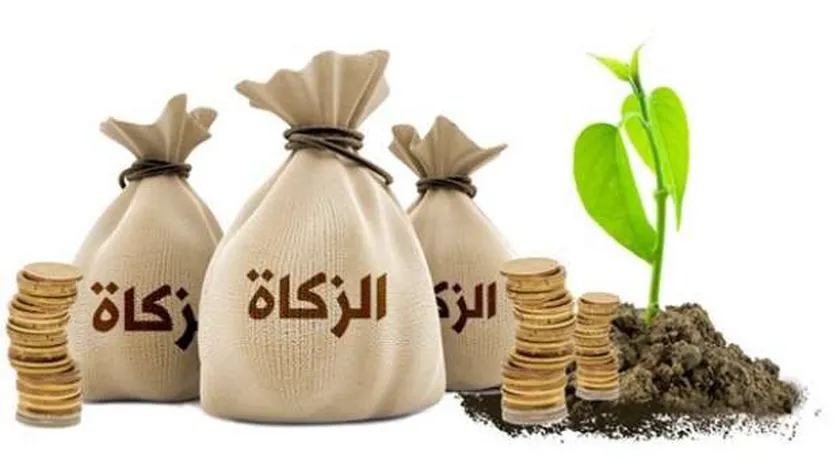 دار الإفتاء توضح حكم الذبح والزكاة في شهر رجب
| يلا شوت