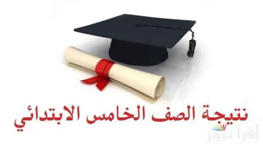 نتيجة الصف الخامس الابتدائي برقم الجلوس في القاهرة والجيزة.. جار تجهيزها
| يلا شوت