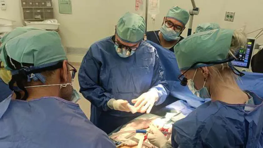«الصحة»: تقديم خدمات مجانية لمرضى جراحات القلب في مستشفى الشيخ زايد
| يلا شوت