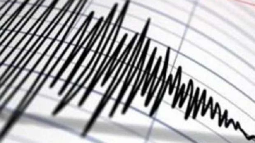هزة أرضية بقوة 1.76 درجة شمال غرب حلوان.. ماذا حدث في الرابعة فجرا؟
| يلا شوت