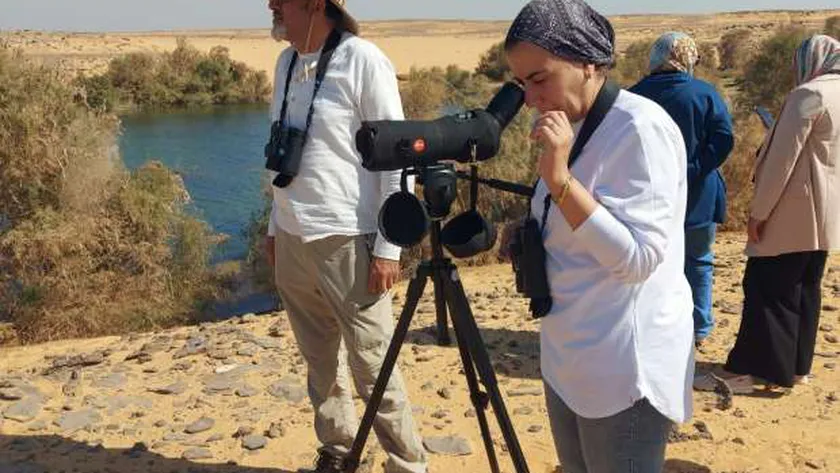 وزيرة البيئة: سياحة مشاهدة الطيور في أسوان وجهة جديدة لمحبي الطبيعة
| يلا شوت