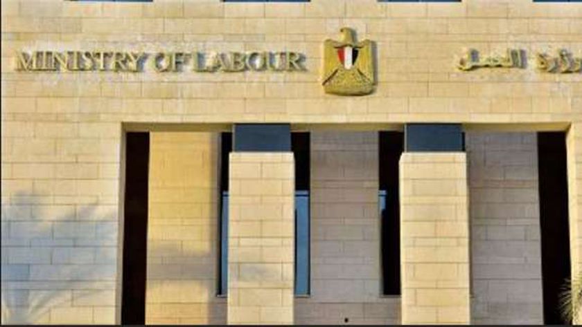 «العمل» تعلن 1575 وظيفة جديدة في 12 محافظة.. التخصصات والأوراق المطلوبة
| يلا شوت
