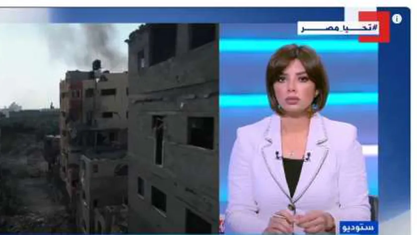 باحثة سياسية: مصر ملتزمة بثوابتها الراسخة بحماية القضية الفلسطينيين
| يلا شوت